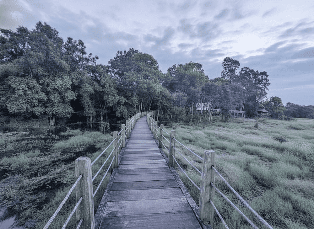 Kh&aacute;m ph&aacute; thi&ecirc;n nhi&ecirc;n tại Vườn Quốc gia Nam C&aacute;t Ti&ecirc;n.